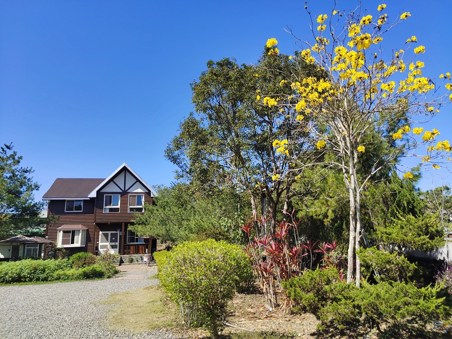 綠野鄉居 | Sun Moon Lake B&B 封面